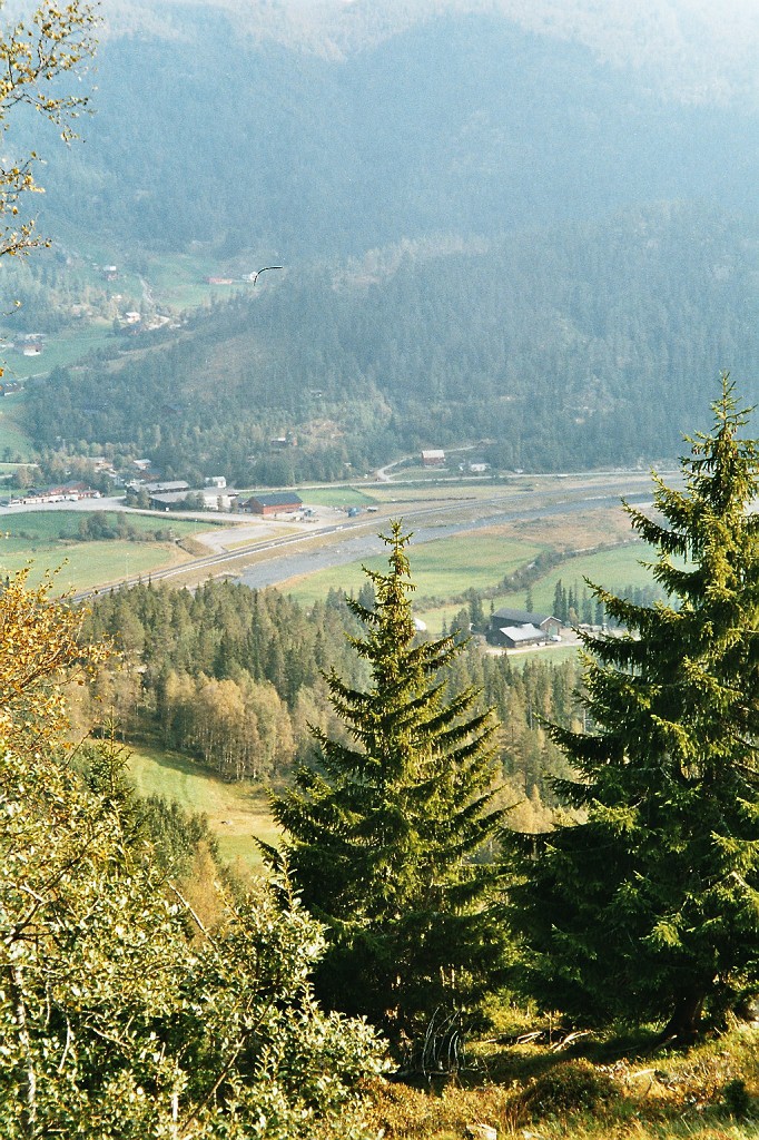 k-imm009