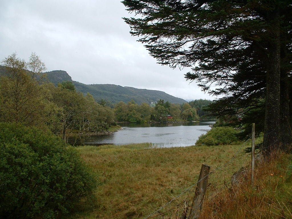 k-dscf0056