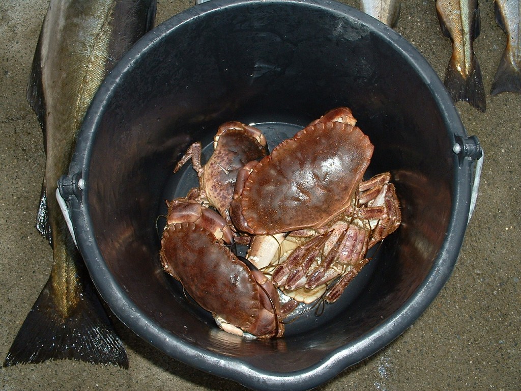 k-dscf0079
