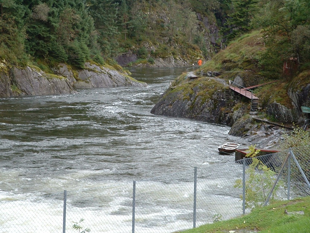 k-dscf0055