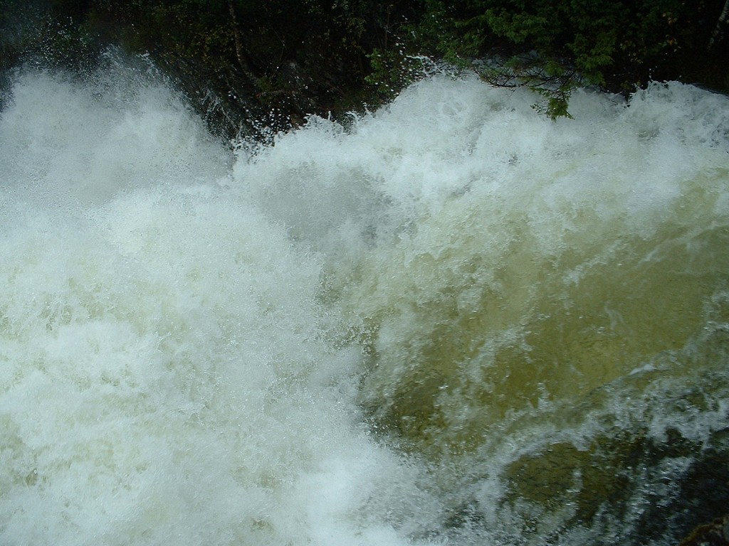 k-dscf0097