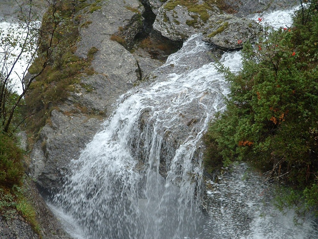 k-dscf0098