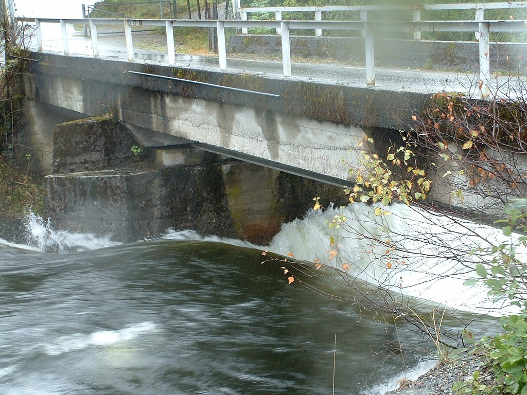 k-dscf0099 1