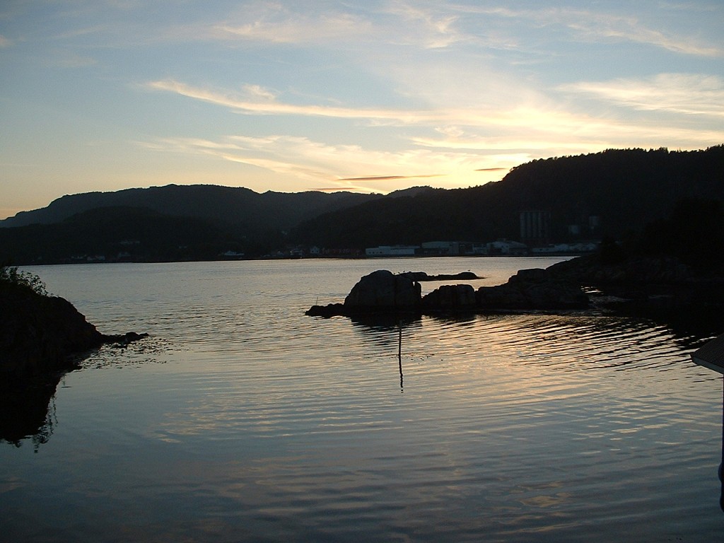 k-dscf0011 1