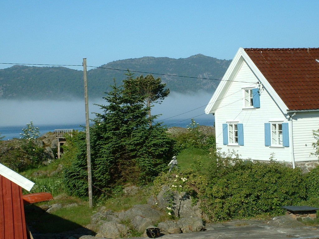 k-dscf0019 2