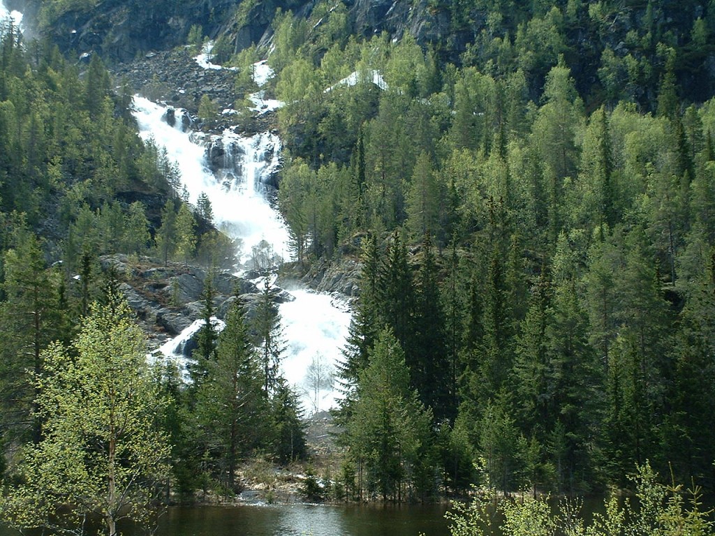 k-dscf0001 2