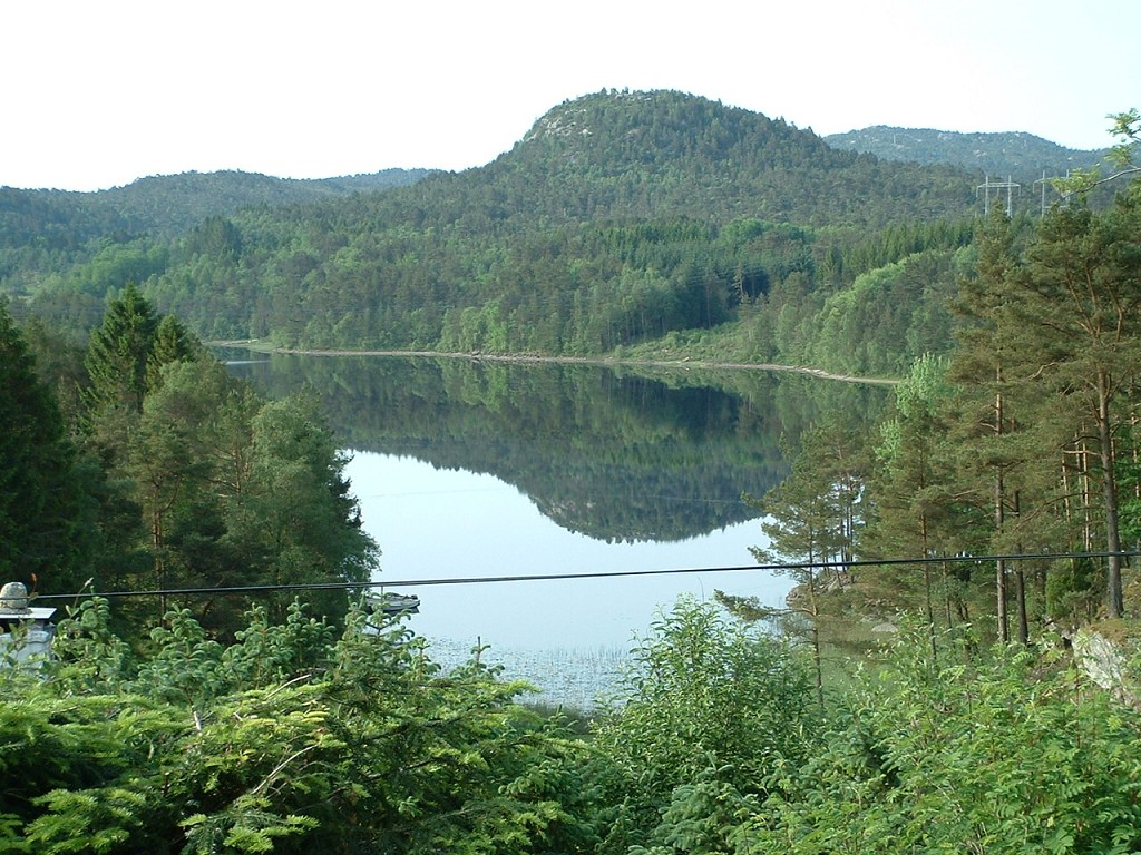 k-dscf0004 1