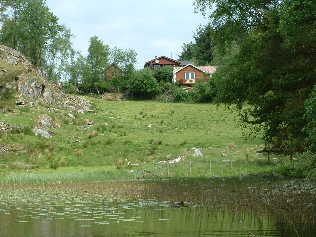 k-dscf0013 1