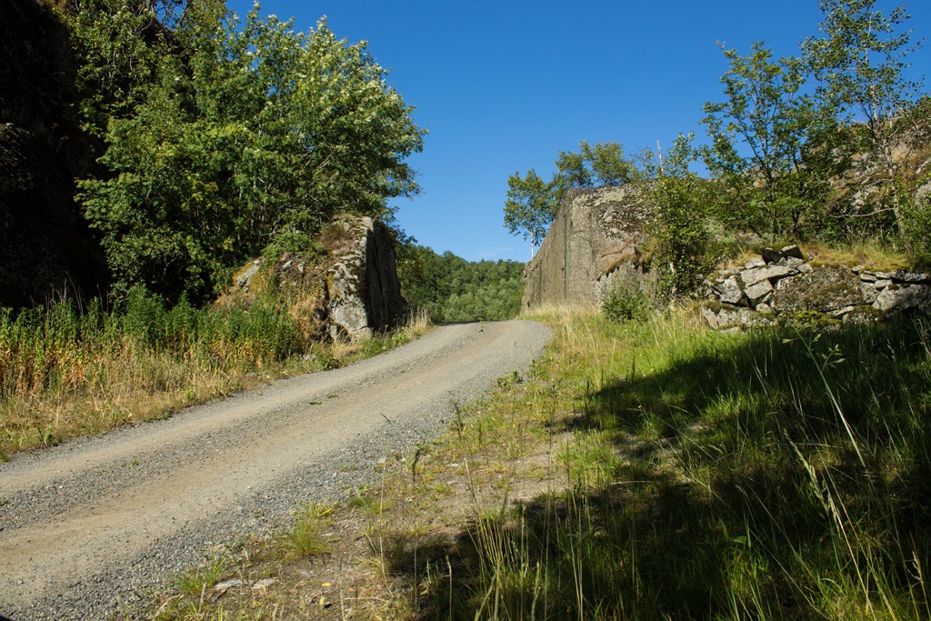 img 4630