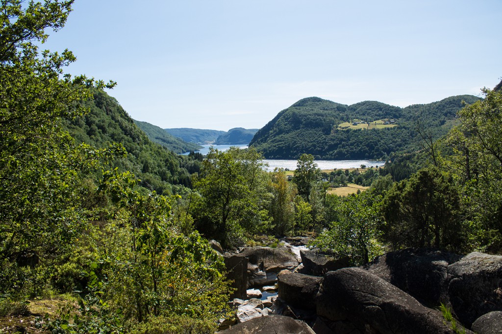 img 4639