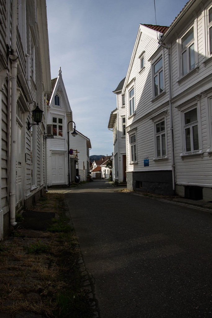 img 6165