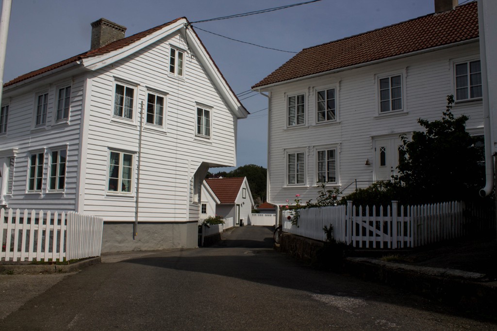 img 6239