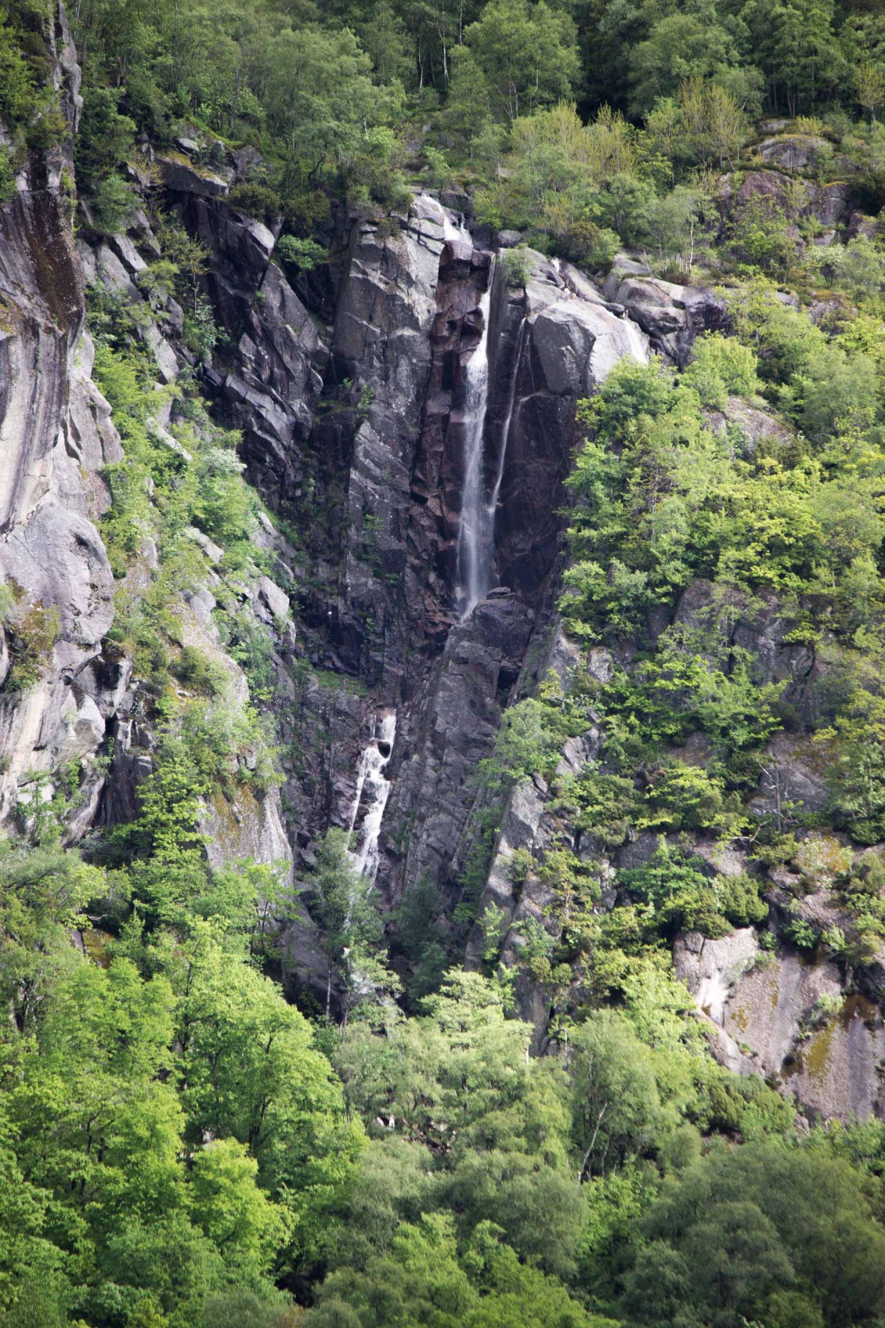 img 7683