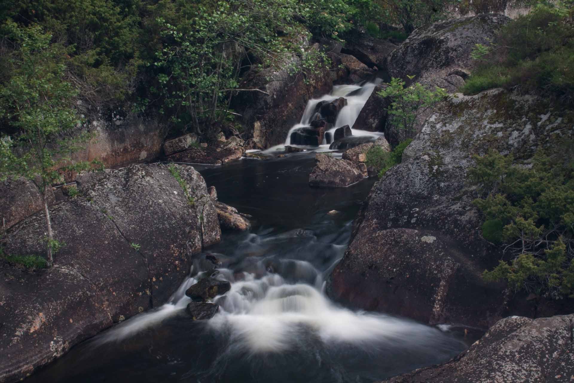 img 7765