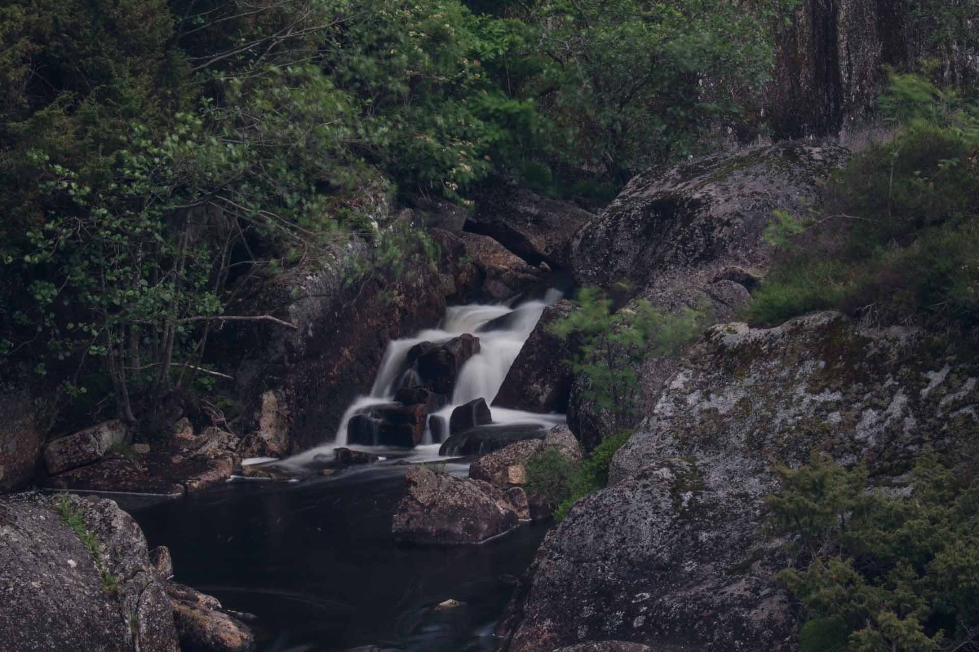 img 7769