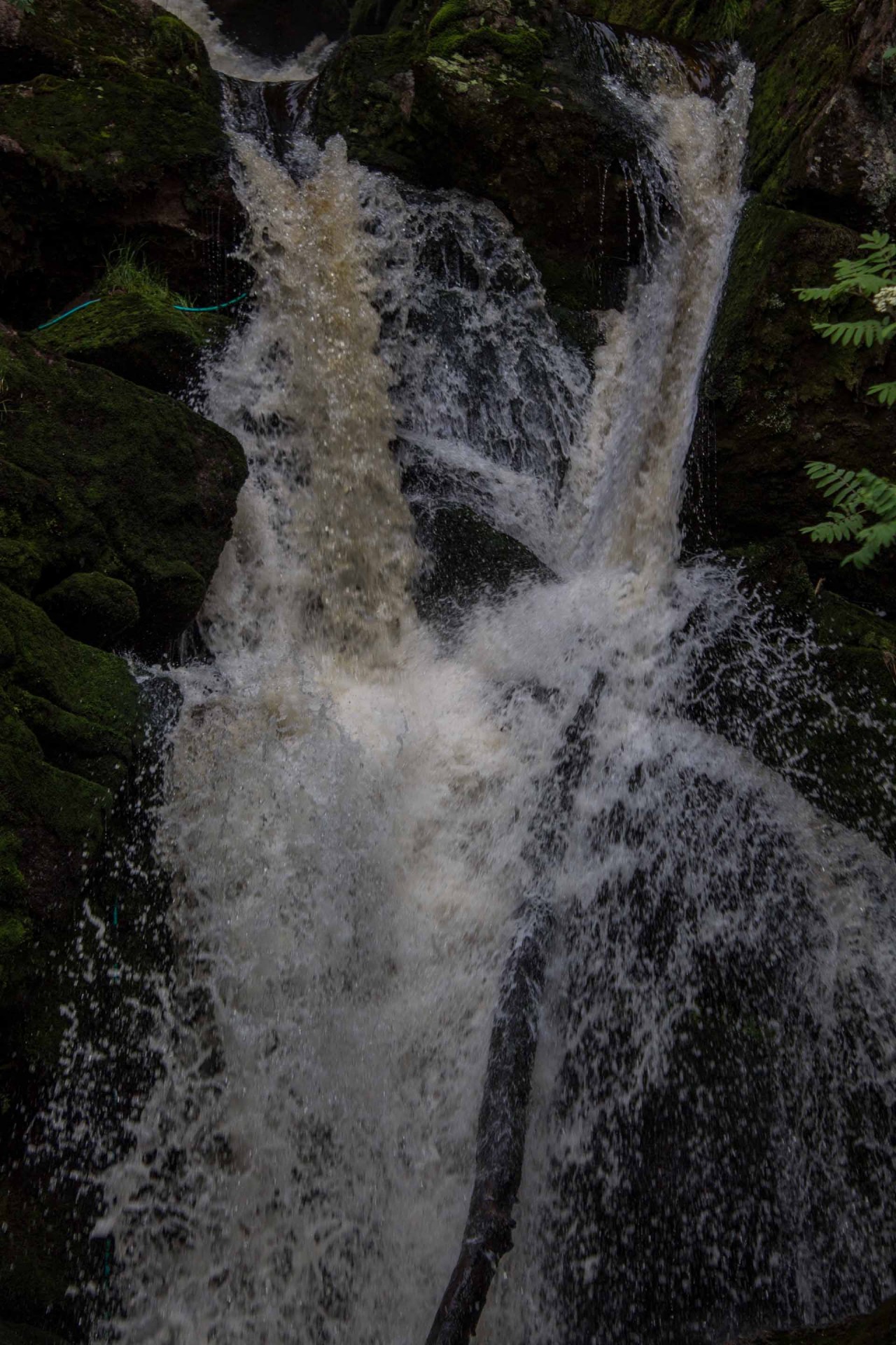 img 7833