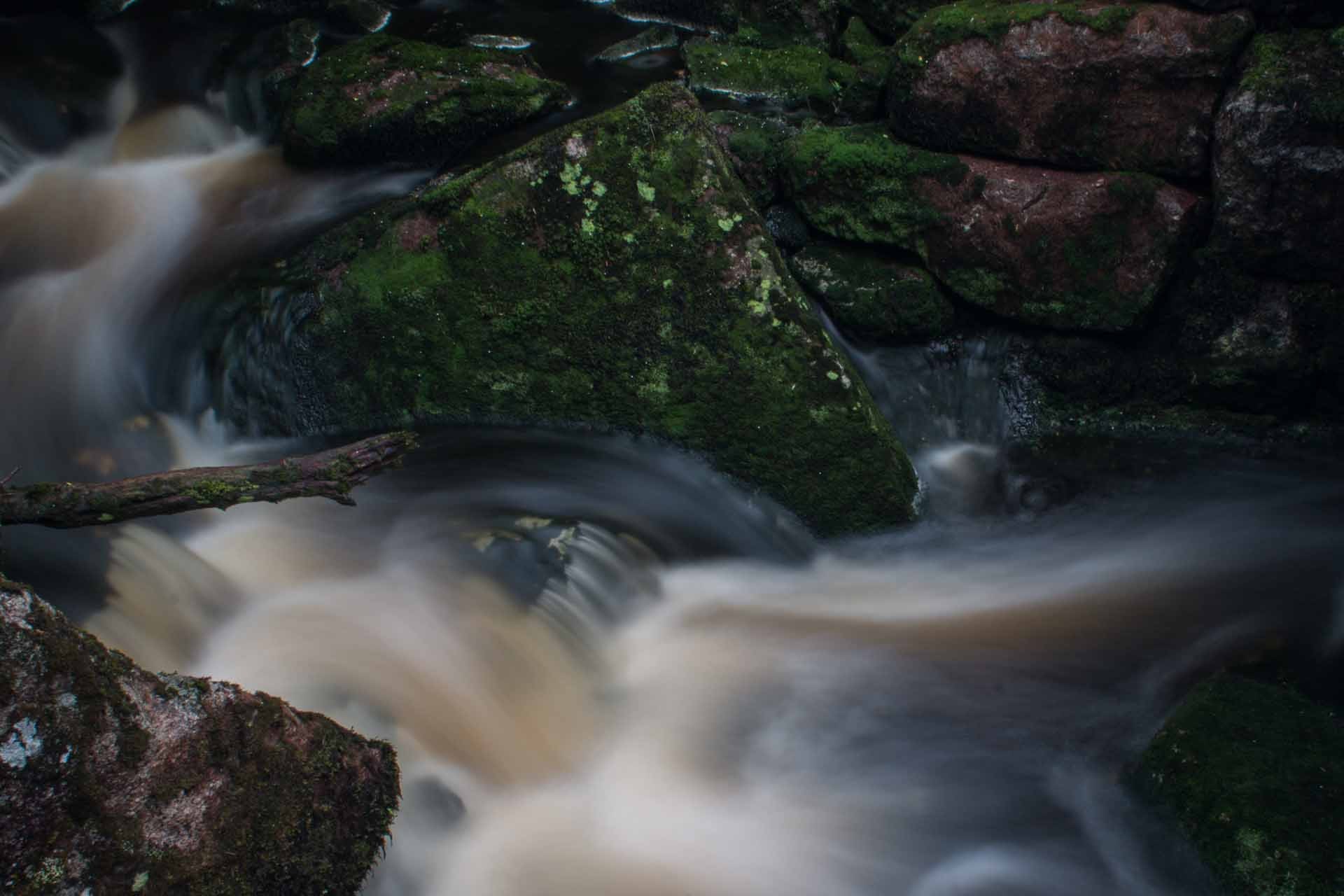 img 7836