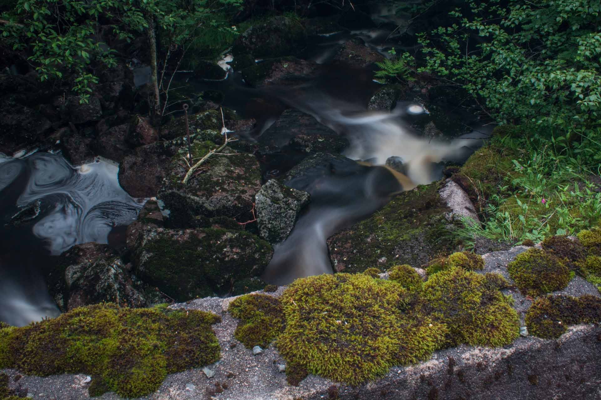 img 7841