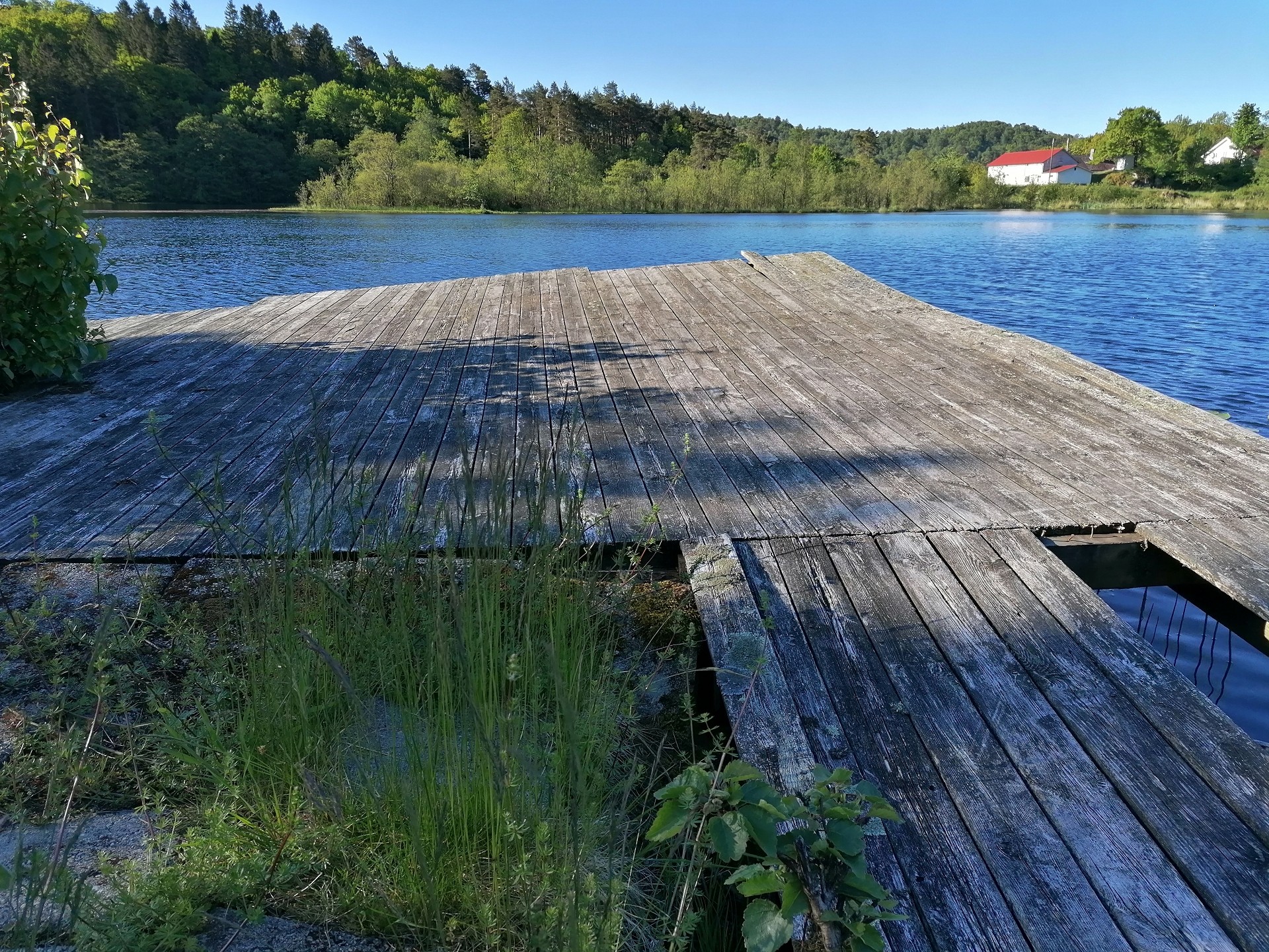 img 20220529 081136