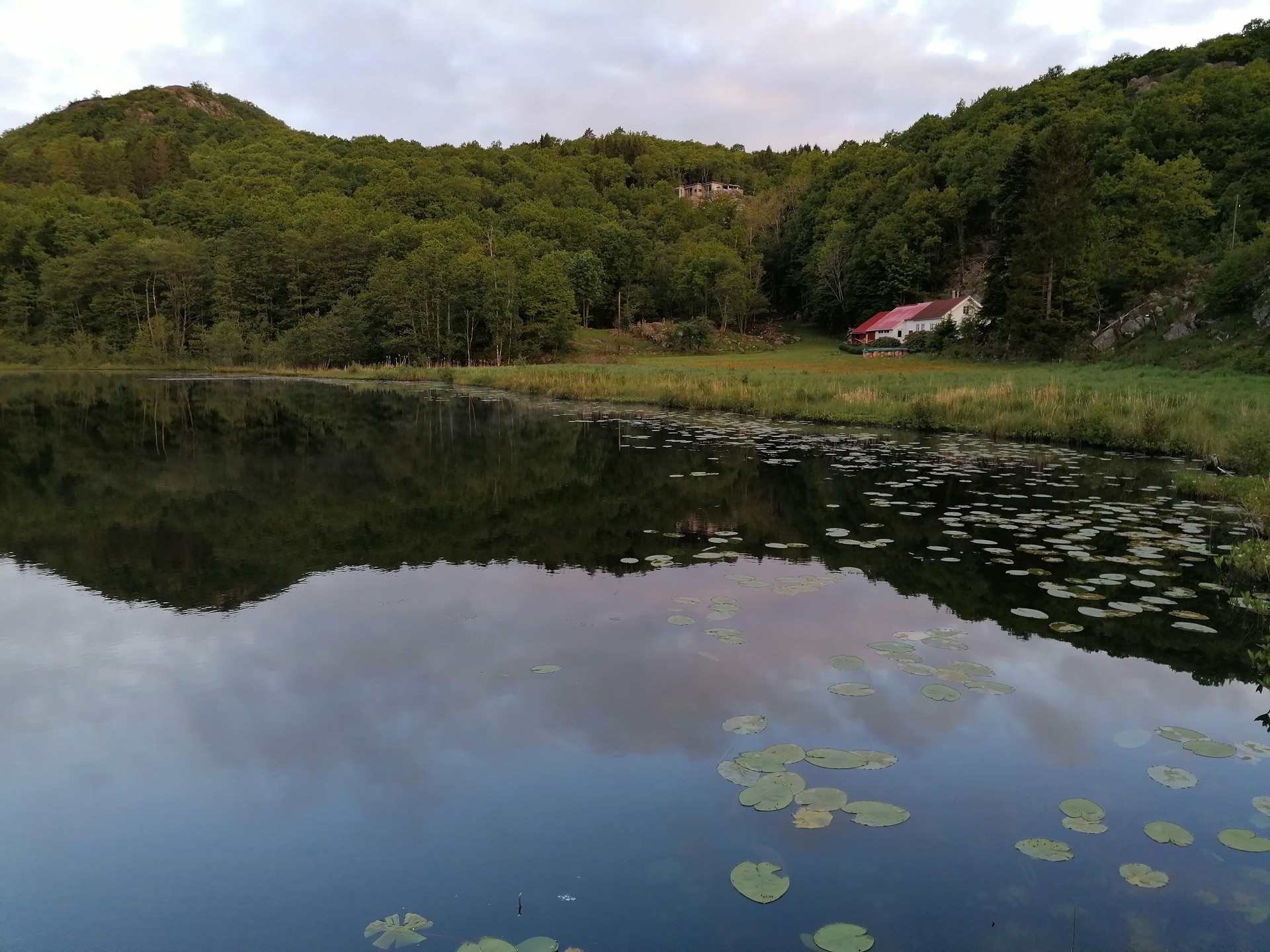 img 20220530 061905