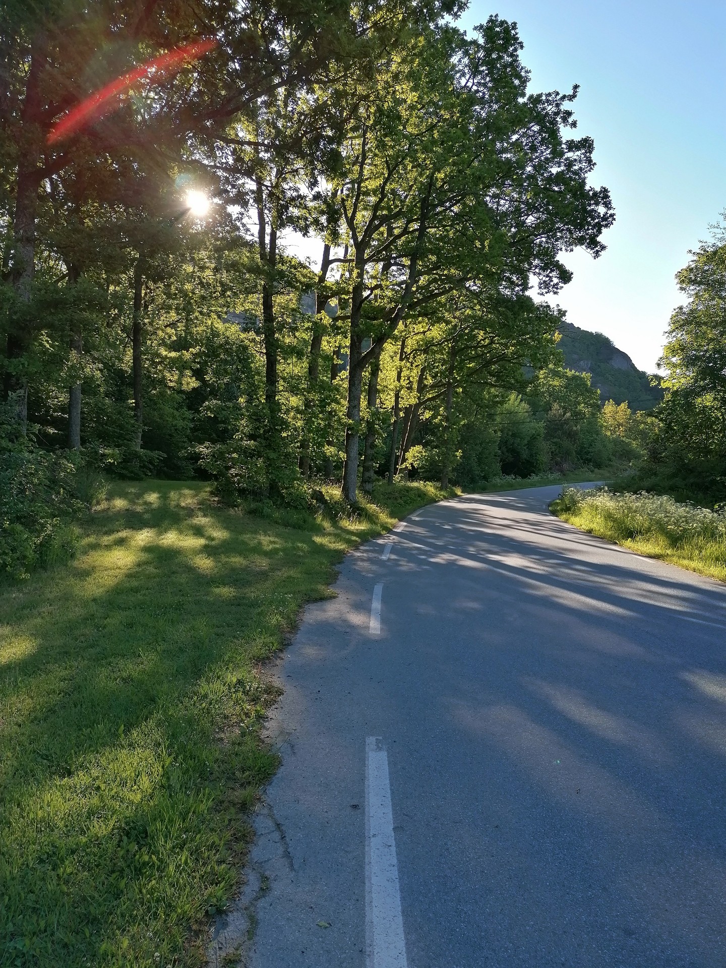 img 20220608 074730