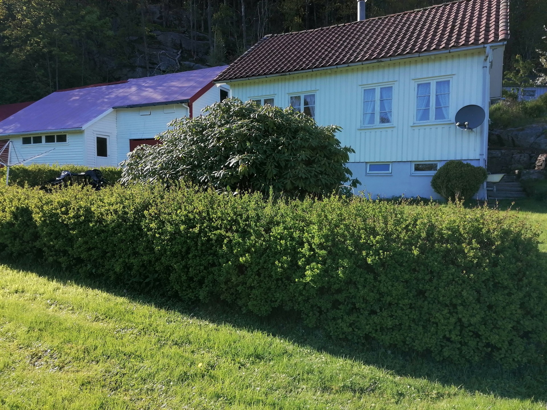 img 20230520 180942