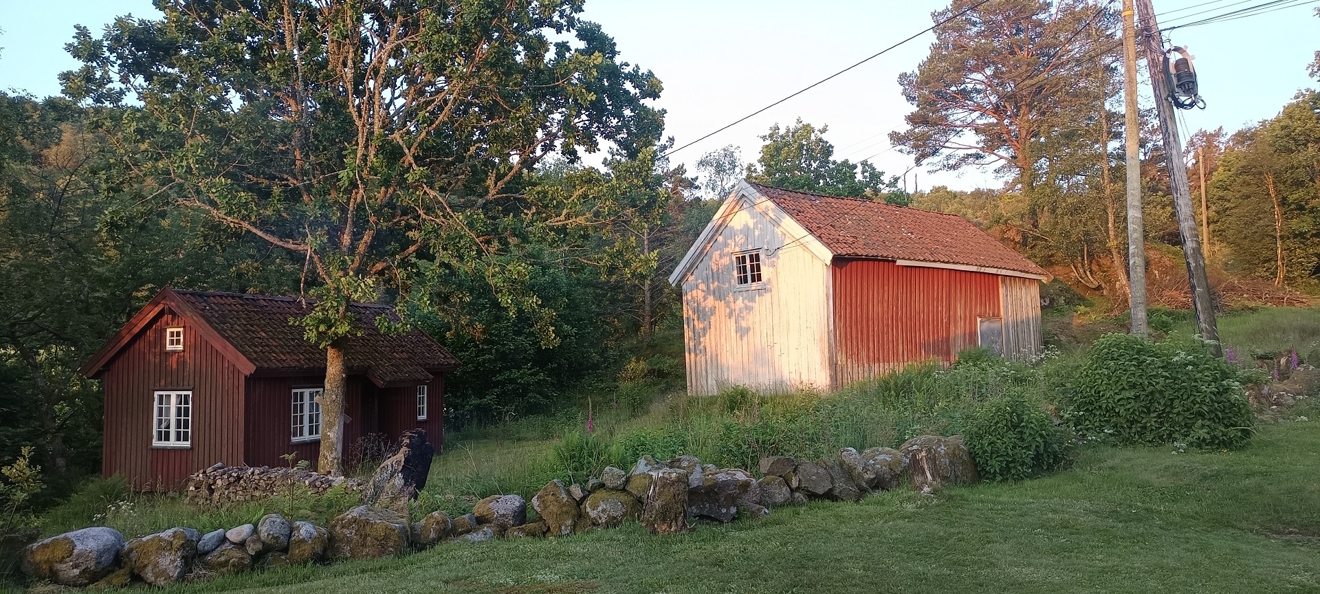 img 20250613 045510