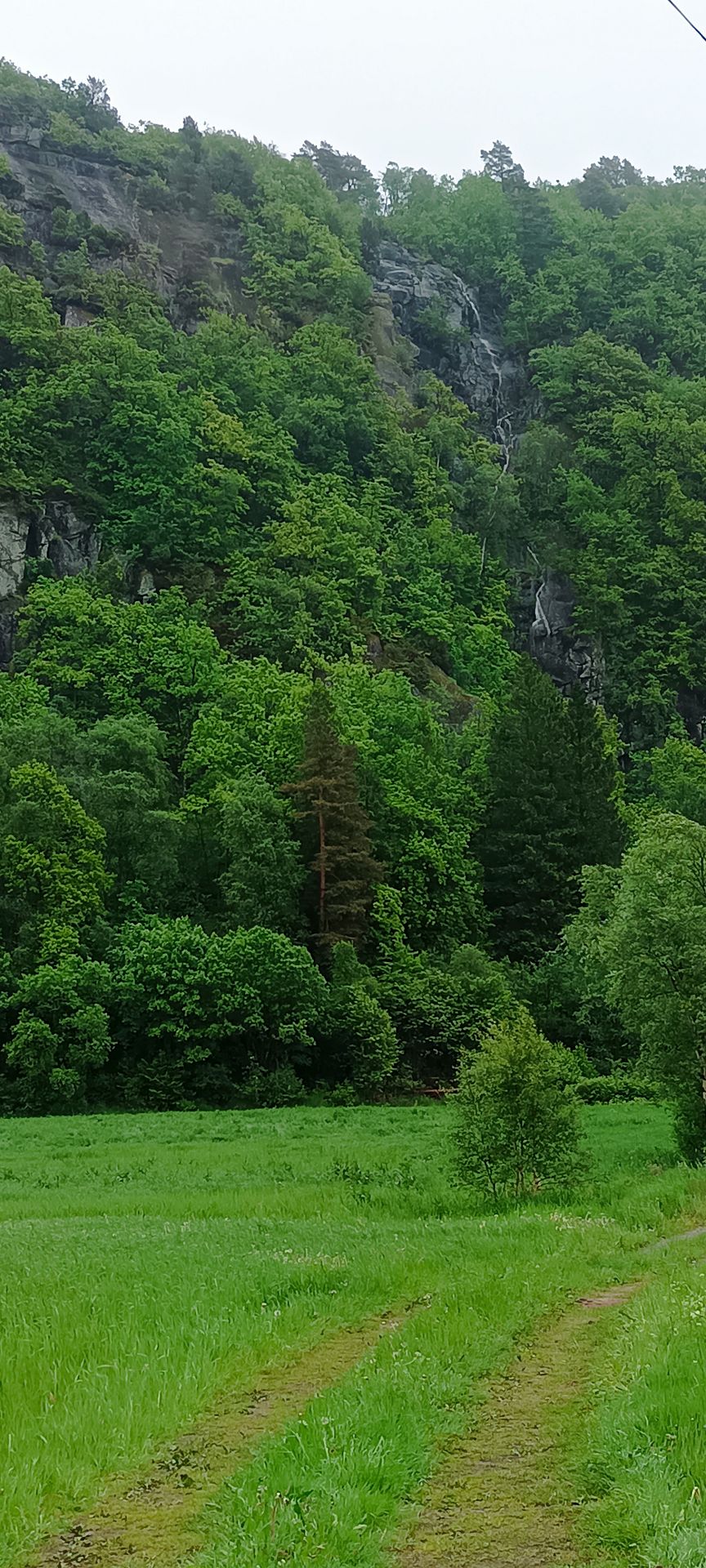 IMG 20260603 181543