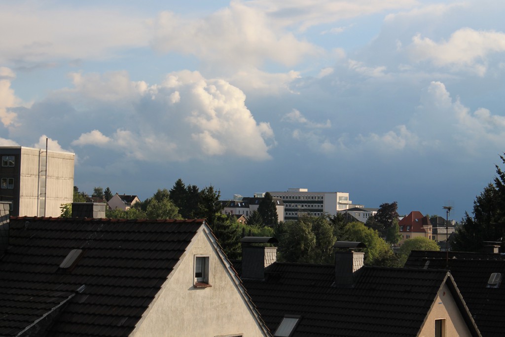 img 0752