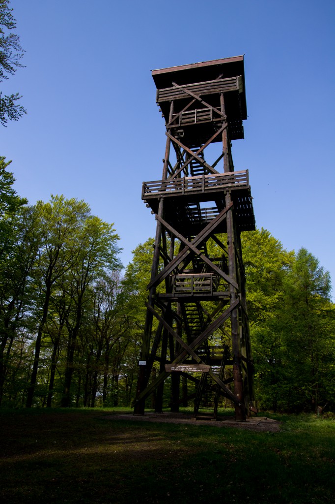 img 3674