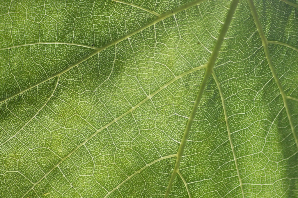img 4734
