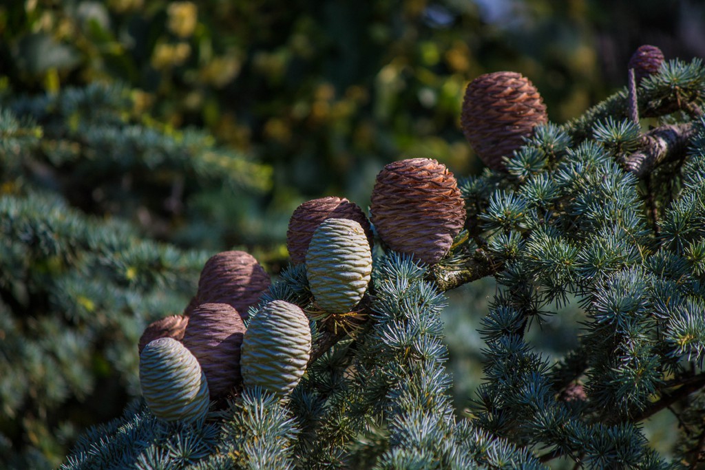 img 5809