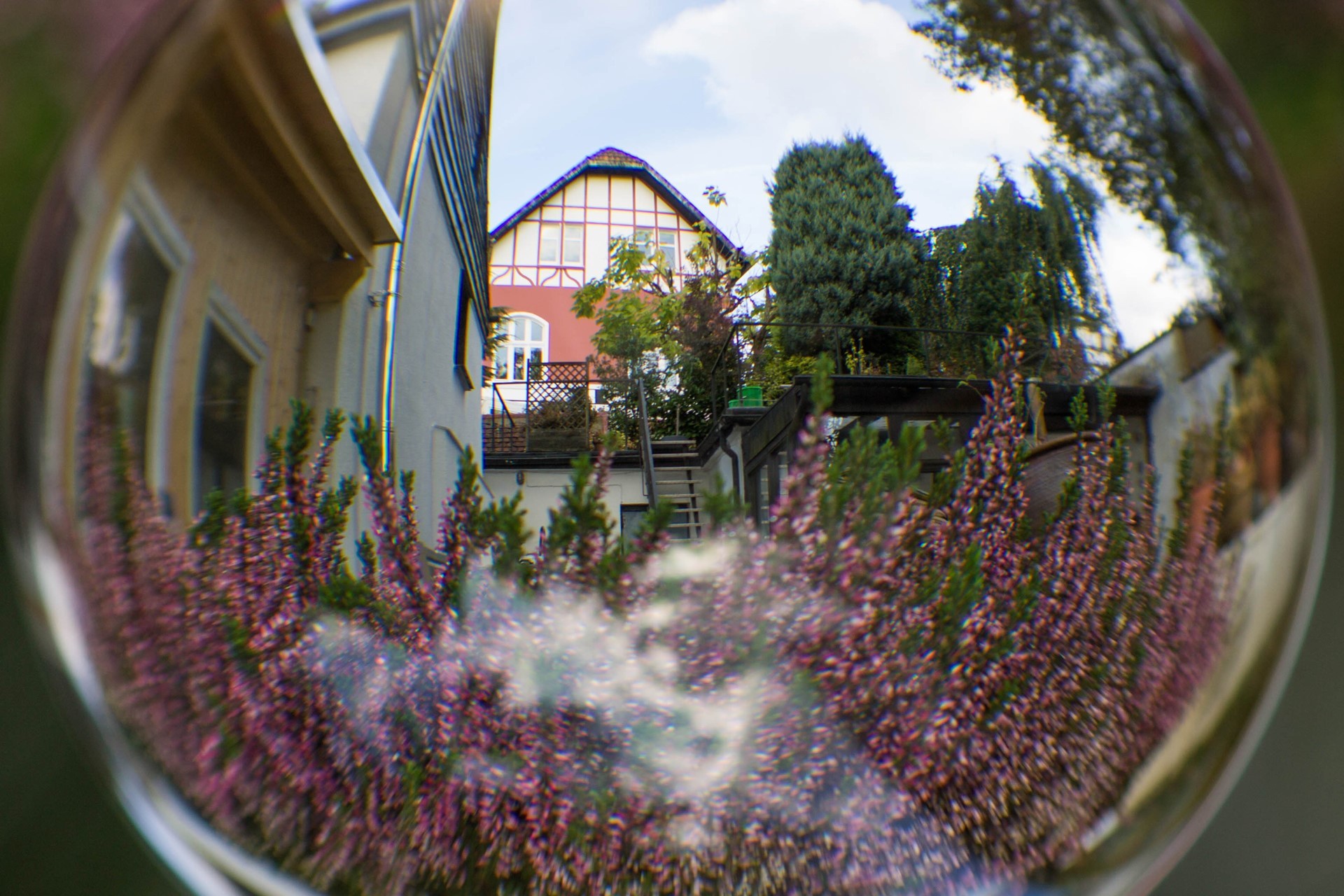 img 7291-kopie