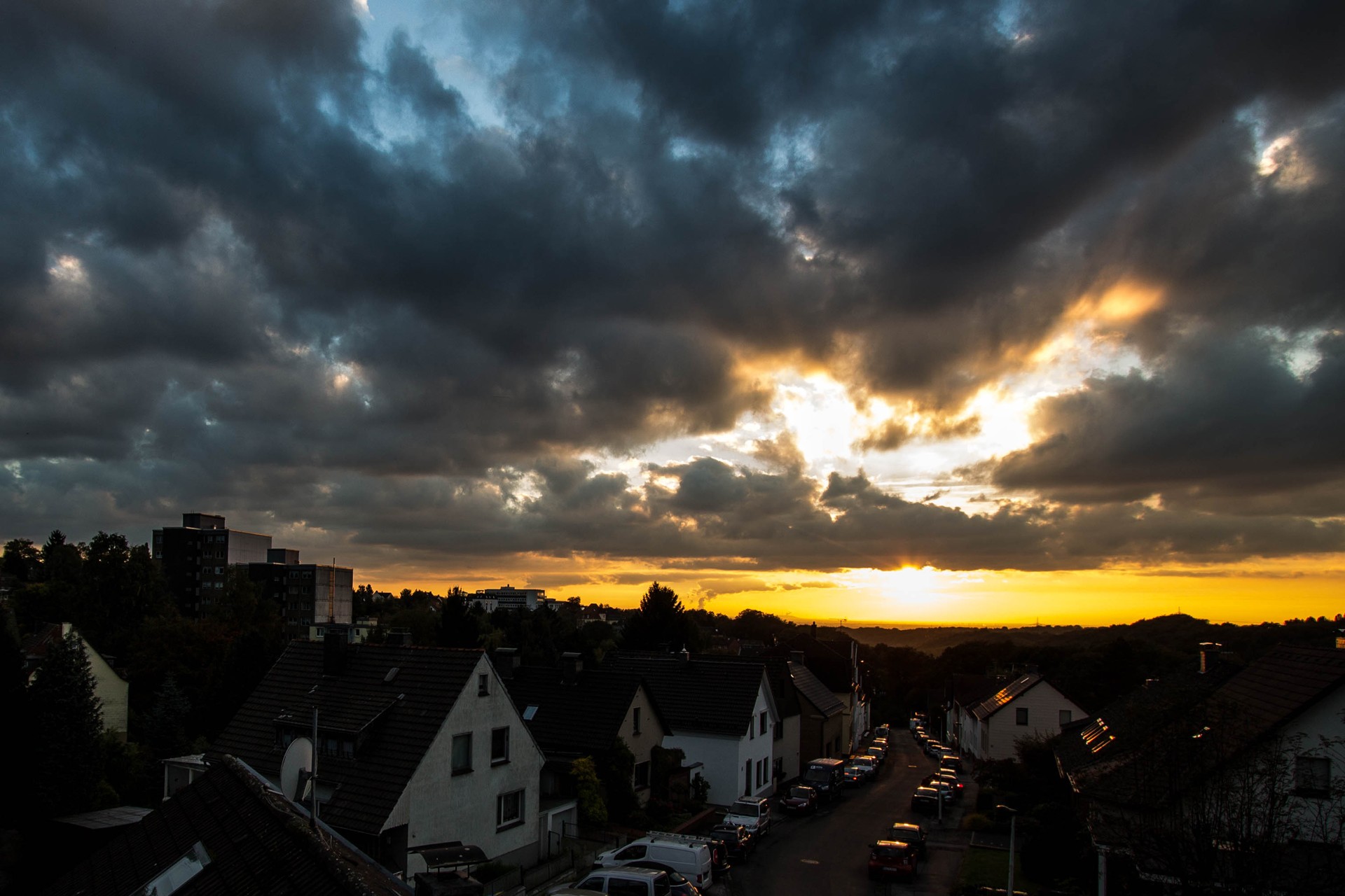 img 7298