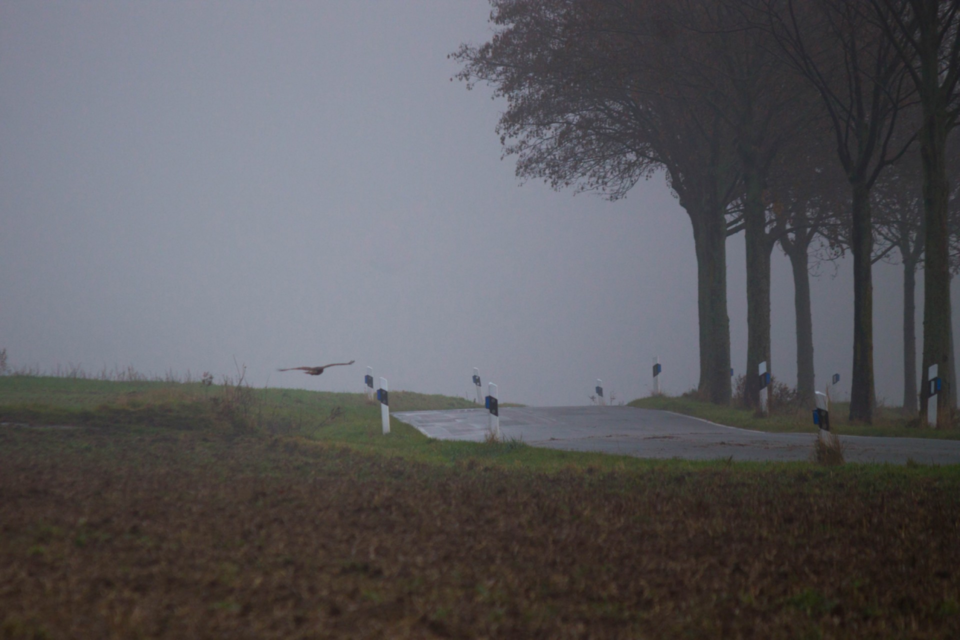 img 7373