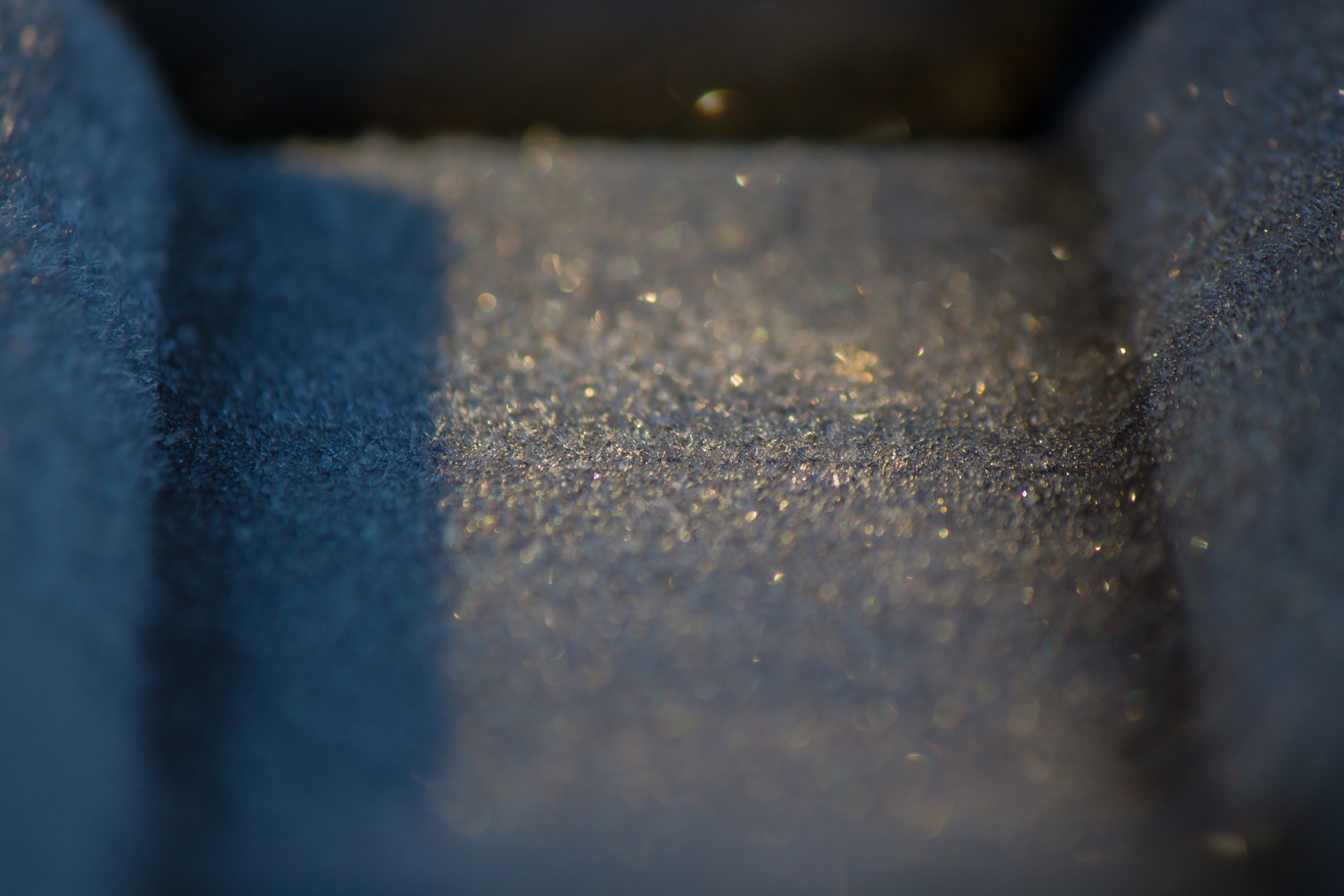img 7385