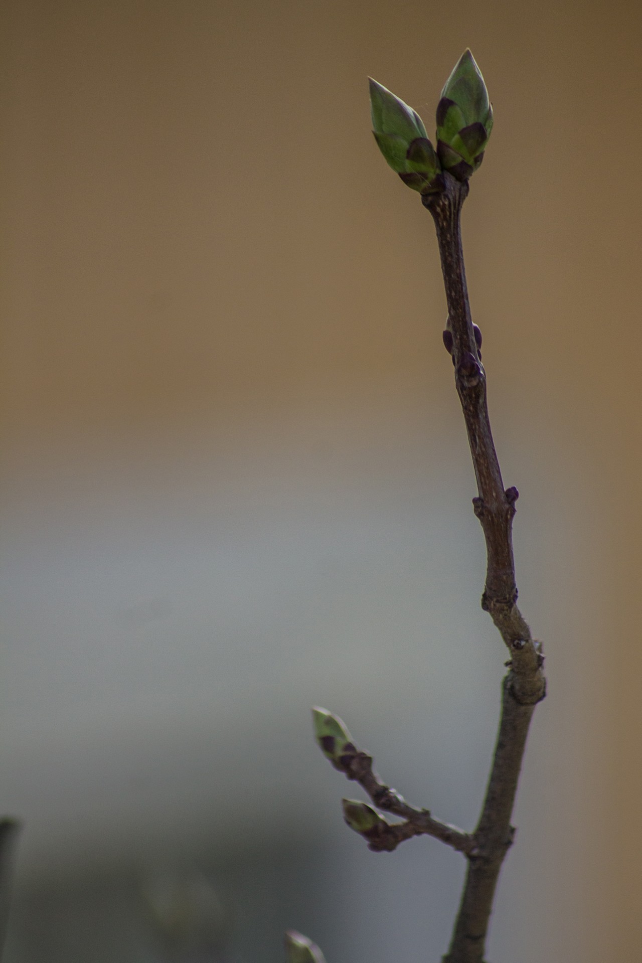 img 7596